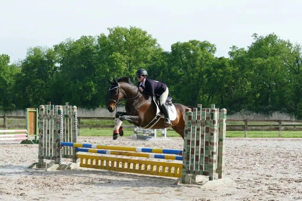 Located near Port Royal Farms is Port Royal Equine Center.